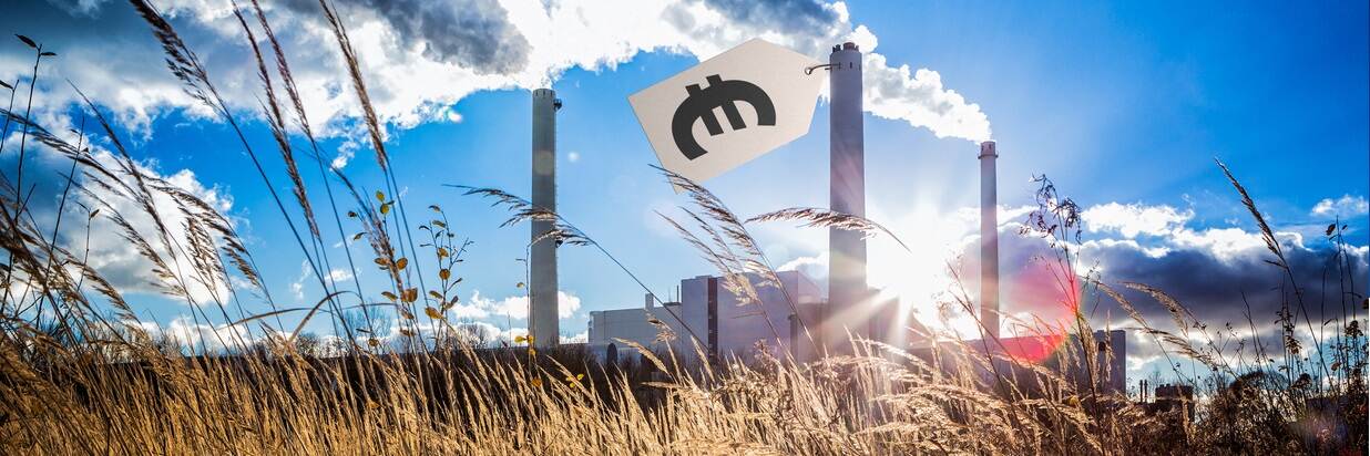 Picture of a factory against a blue sky, one of the chimneys has a price tag carrying the Euro symbol.